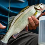 The Importance of Using HighQuality Fishing Lines